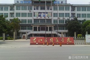 百色大学在哪个区