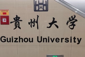 贵州大学每科要多少