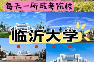 临沂有多少大学院校