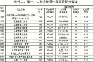 合肥理工分数线多少