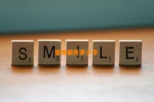 望海潮有多少字