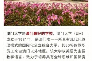 澳门我有多少所大学