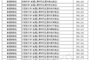 临沂大学小学教育多少分