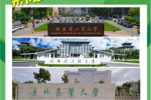 黑龙江244分去哪个大学