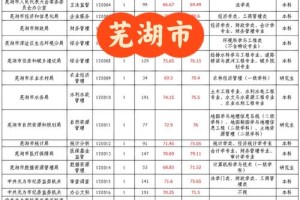 芜湖大学需要多少分及格