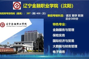 辽宁金融专业哪个大学好