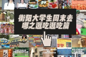 衡阳大学生有多少