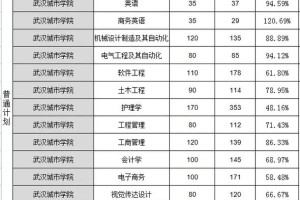 武汉城市学院学费多少