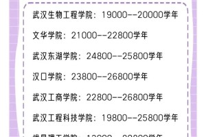 2020湖北专科学费多少