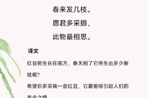 多少相思多少事谁的诗