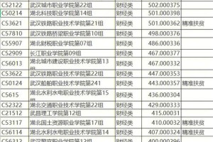 湖北财税大学多少分能进