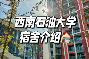 石家庄石油大学在哪个区