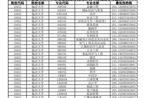 临沂大学收分多少分