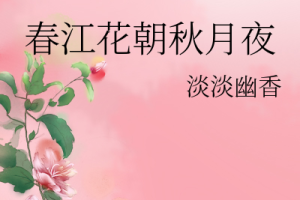 春江花秋月夜多少字