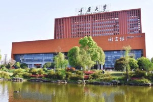 重庆大学图书馆哪个区