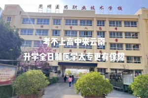 哪个云南医药健康职业学院