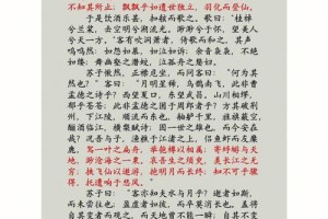 文天祥读赤壁赋前后多少字