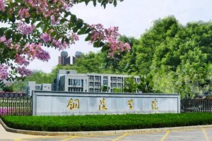 铜陵有那多少大学