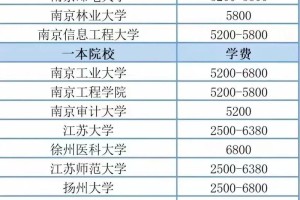 公办大学要多少钱