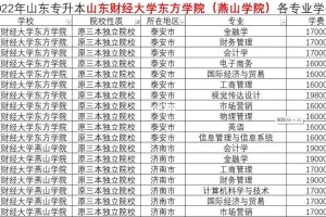 烟台民办大学有多少