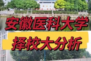 安微医科大学在合肥哪个区