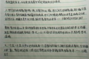 艾青诗选被译成多少种文字