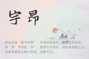 宇的姓名代码是多少