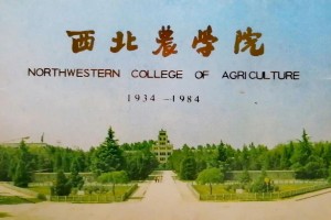 应化在西农属于哪个学院