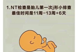 113周是多少年