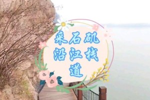 刘禹锡九华山歌多少字