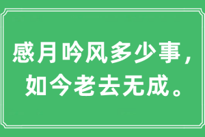 感月吟风多少事