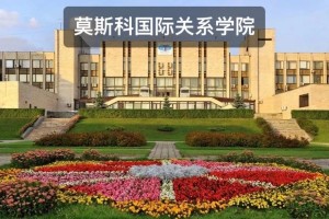 哪个学校有国际关系学