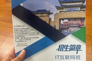 广西哪个大学有网络教育