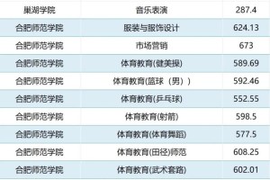 巢湖学院2017多少分