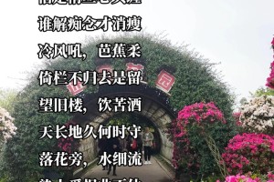 多少愁情