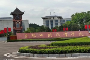 资阳口腔职业学院在哪个省