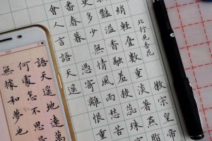 燕山亭多少字