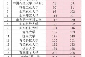 山东525分参考哪个大学