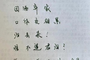 哨遍 苏轼有多少个字