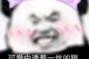 哪个大学人文实验班好