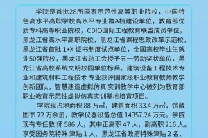 黑龙江省建工学院是哪个