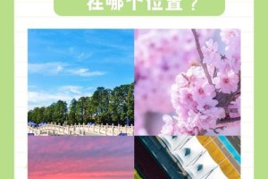 青岛农业大学在城阳哪个镇