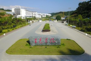 广西百色大学是哪个区