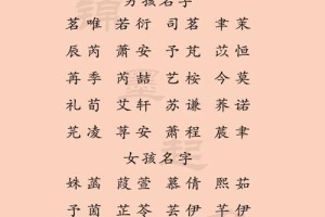 译圆名字多少分