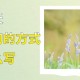 运用排比句描写春天（写关于春天的排比句怎么写）