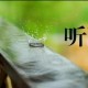 听雨唯美散文（散文《听雨》）