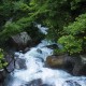 王建《雨过山村》赏析（王建写的雨过山村的意思）