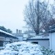 冬天雪的浪漫古诗（关于冬天的优美浪漫诗句大全）