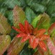 适合下雨天发的伤感说说（适合雨夜发的伤感句子）