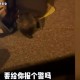 男子帮摔倒大爷报警反被讹:已和解（帮摔倒老人反被讹）